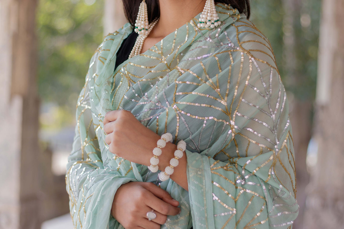 Sage Green Anuradha Chiffon Saree