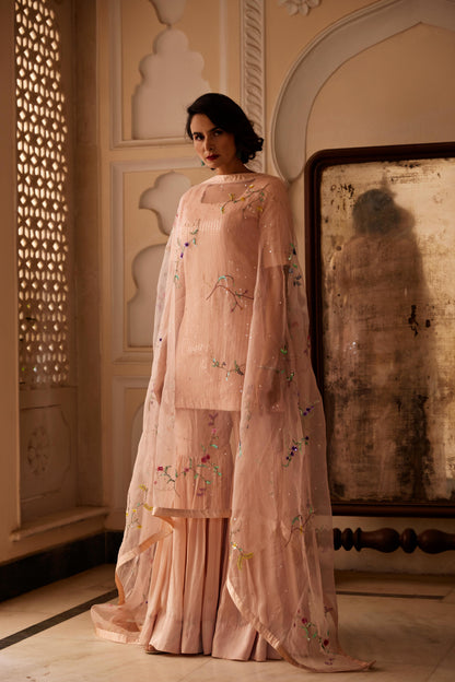 Blush Pink Garden Dusk Kurta Set