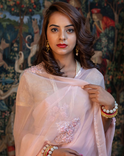 Geraldine Pink Chiffon Saree