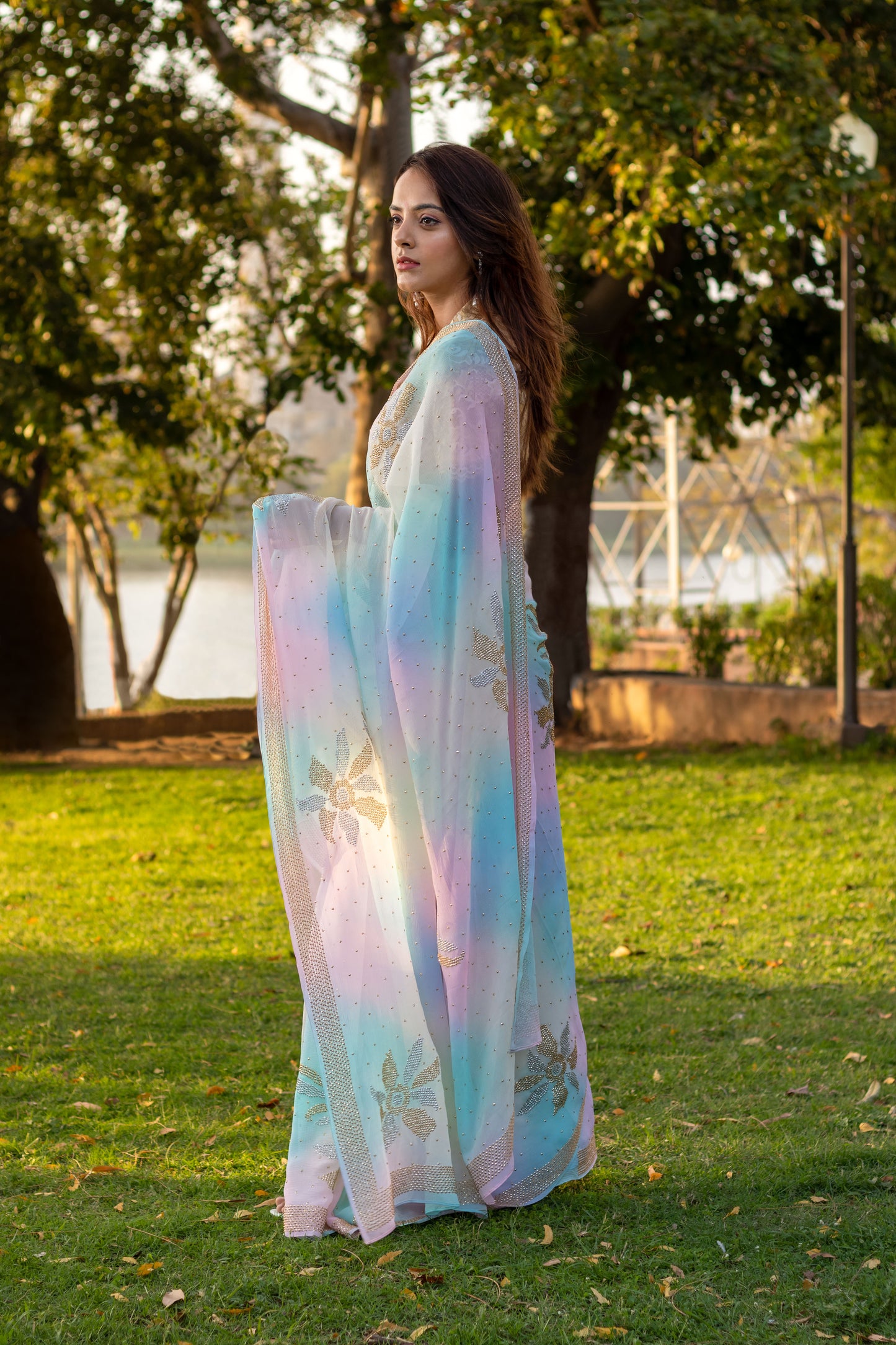 Gulal Chiffon Saree